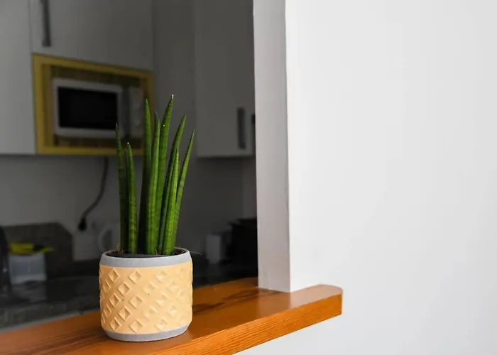Apartamento Coqueto Cerca Centro