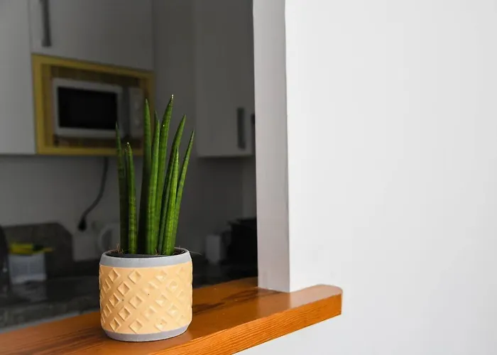 Apartamento Coqueto Cerca Centro